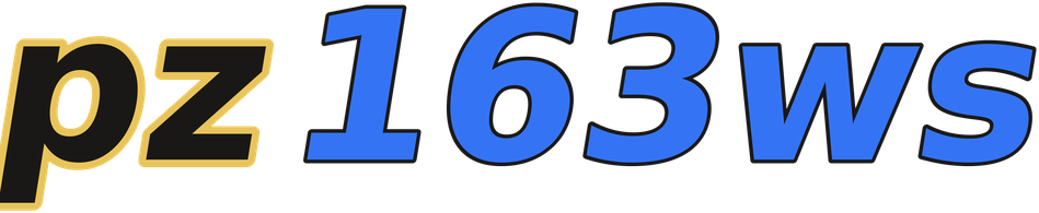 pz163ws logo
